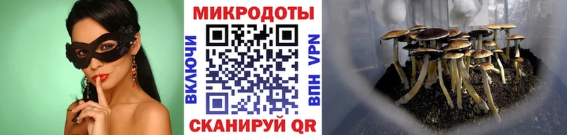 blacksprut вход  Черноголовка  Галлюциногенные грибы GOLDEN TEACHER  купить наркоту 